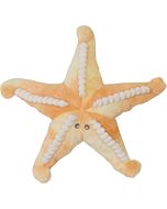 Bubble: Sunny the Starfish