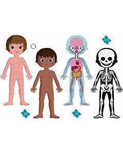 Janod: Educational Puzzle Human Body