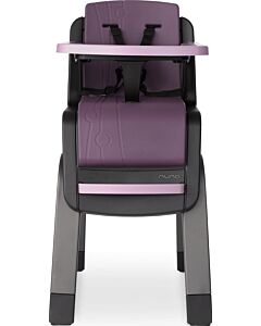 Nuna ZAAZ™ (Black/Plum)