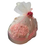 Baby Blu Angel: The Reveal Cradle - It’s a Girl (12 pieces set)