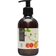 Buds Esmeria Soothing Organics: Anti-bac Gentle Minty Citrus Hand Wash 300ml